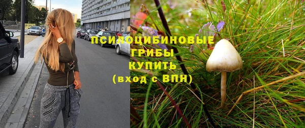 стафф Белоозёрский
