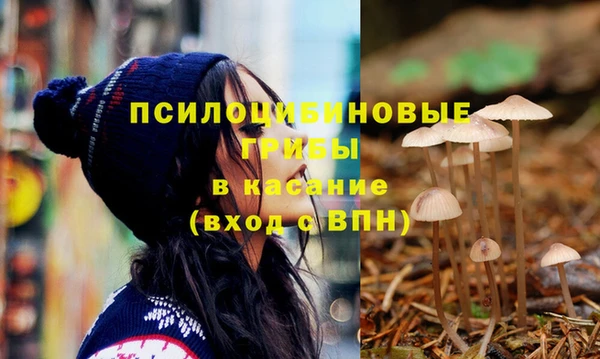 стафф Белоозёрский