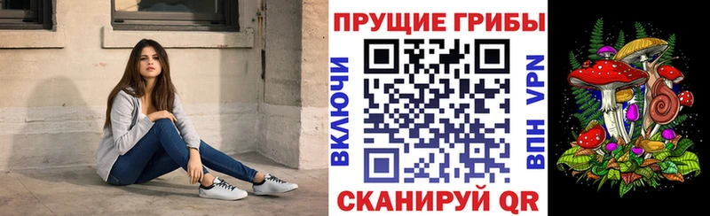 Галлюциногенные грибы MAGIC MUSHROOMS  Купить где  Муравленко 